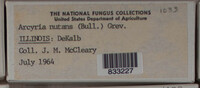 Image Associated With the Occurence